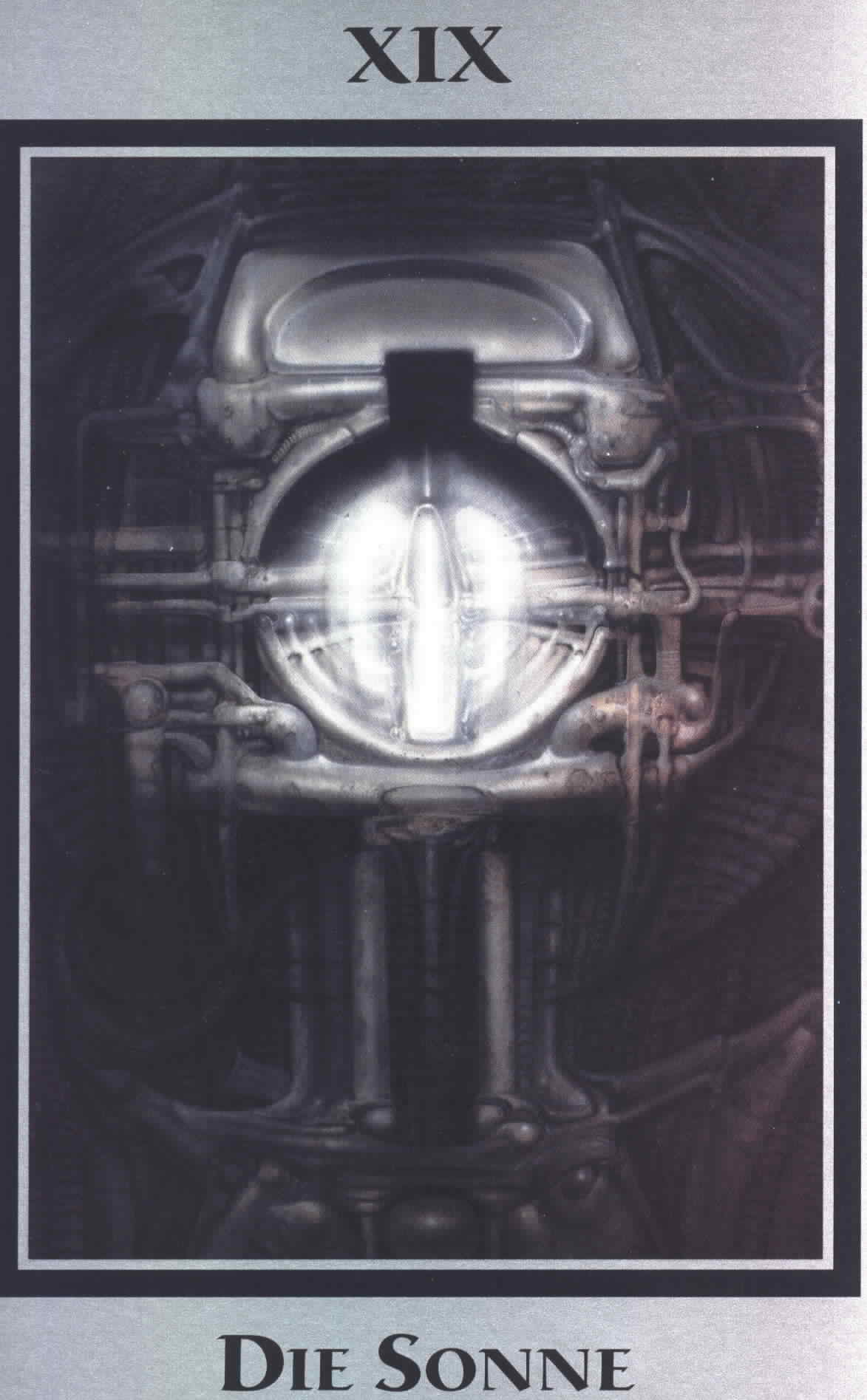 19